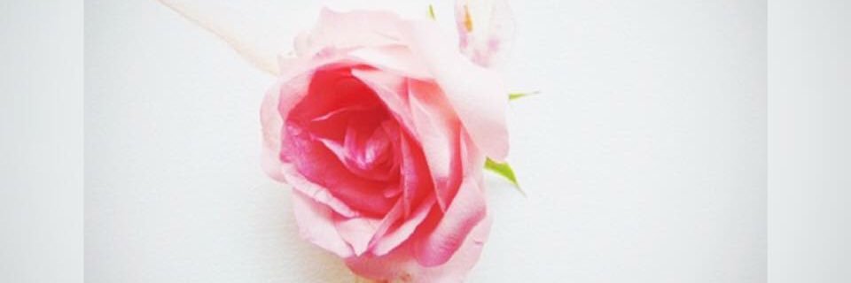 linyjasso's profile banner image