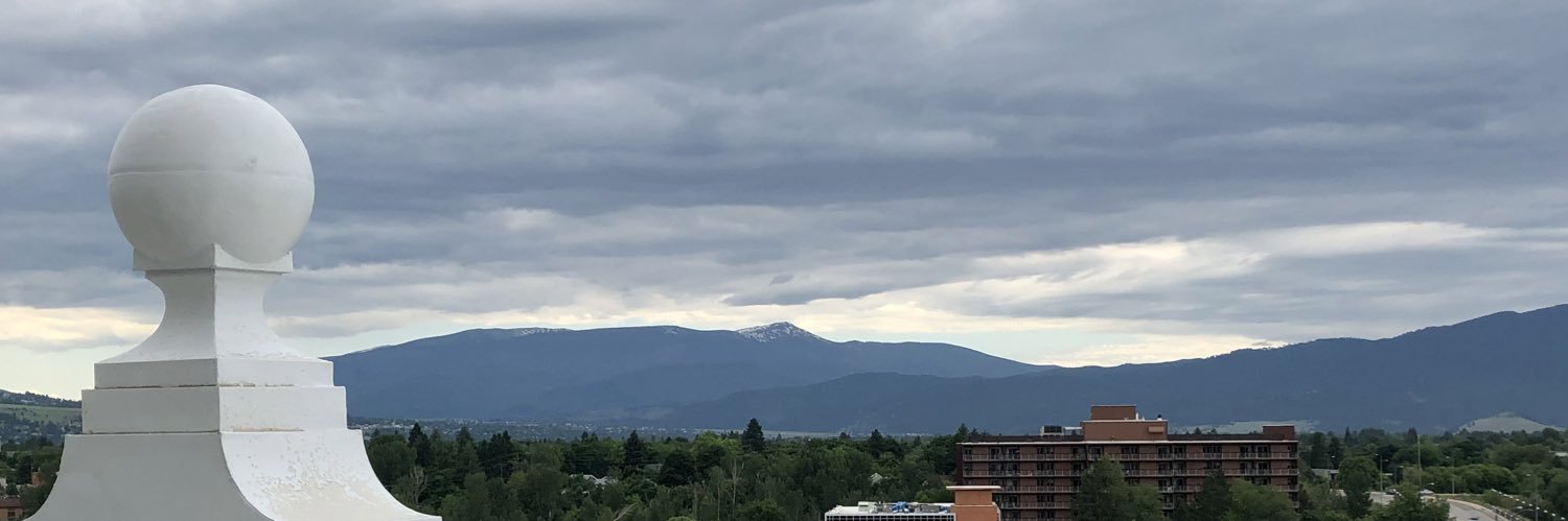 Allison Franz banner