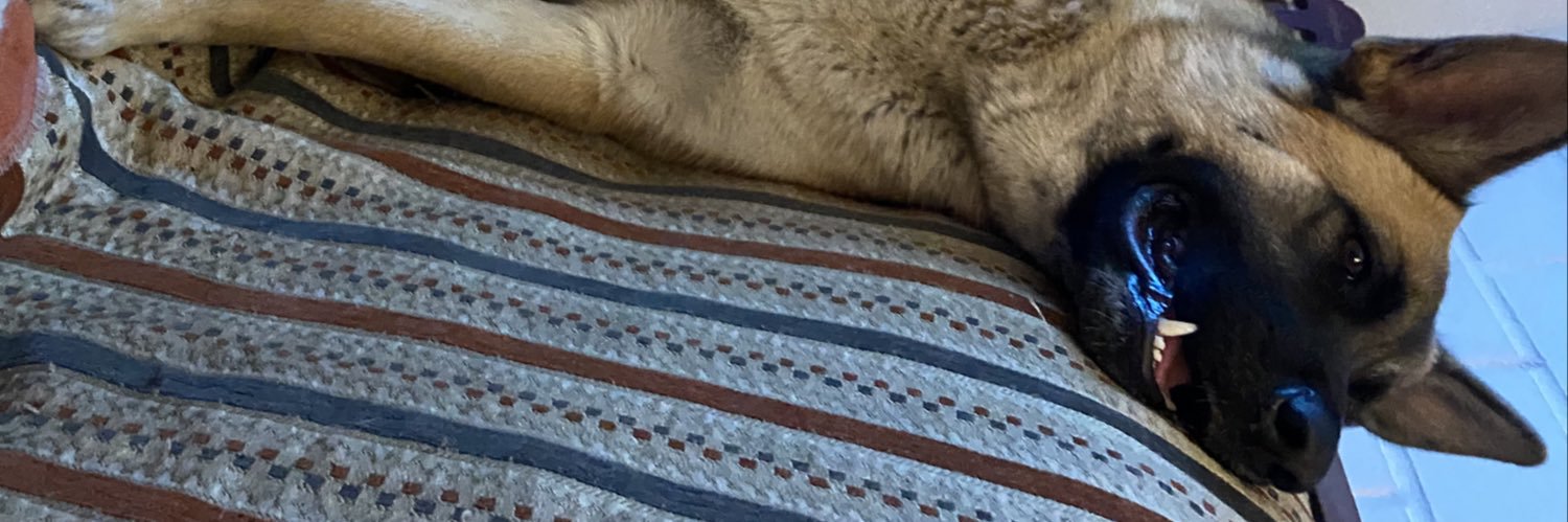 panchochl's profile banner image
