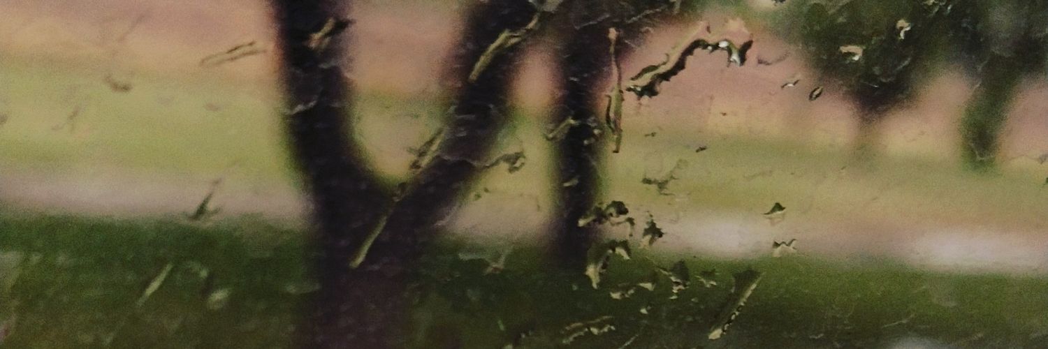 fbcaceres08's profile banner image