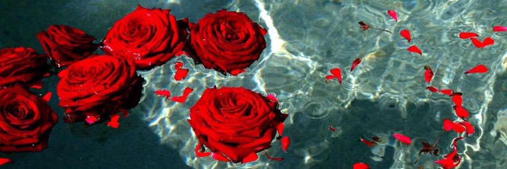 joyy_26's profile banner image
