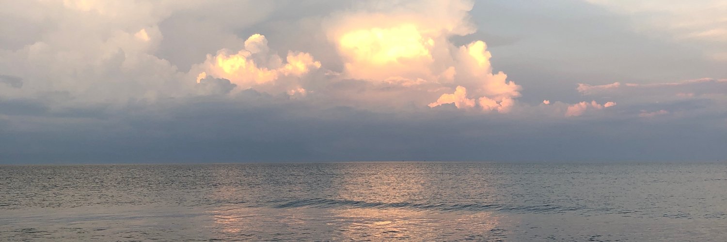 LambClanMom's profile banner image