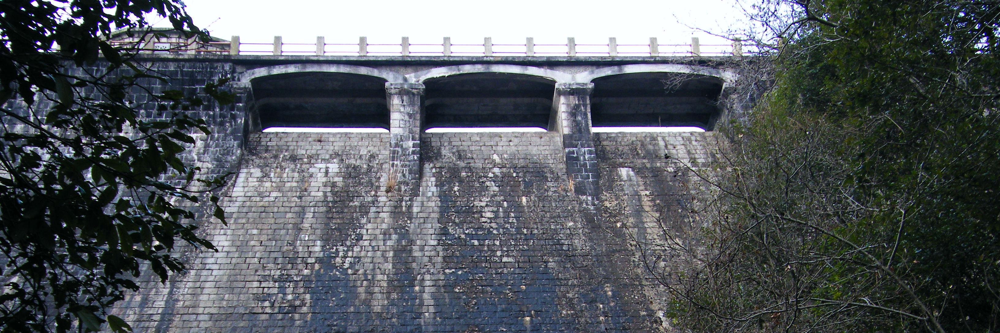 だい(カメとダムのおっさん) banner