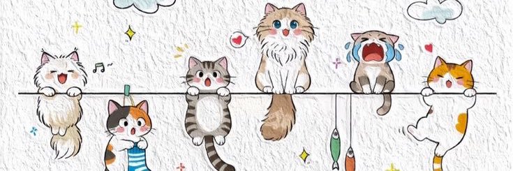 NurJay308's profile banner image
