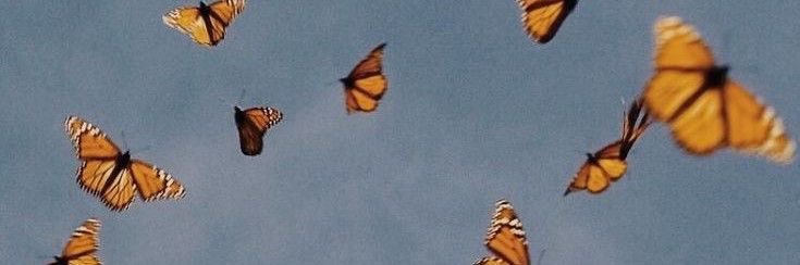 shit caro says: banner