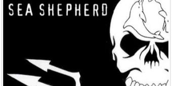 VERMITHERAX's profile banner image