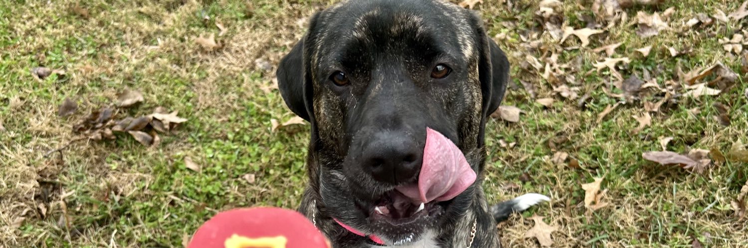 abbilee24's profile banner image