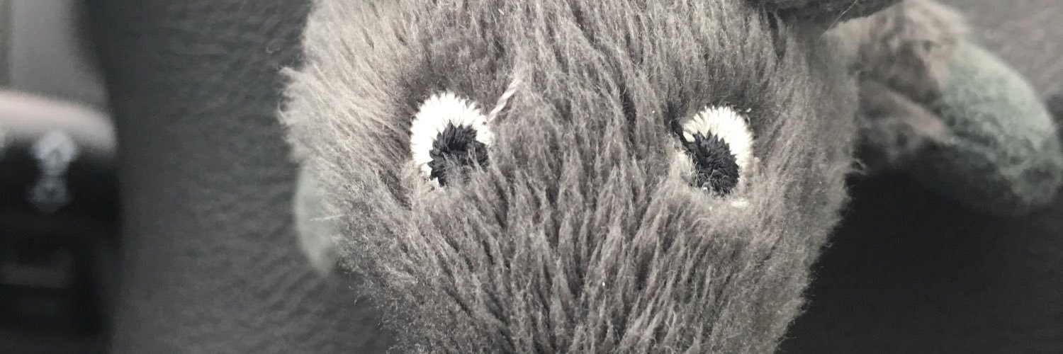 adysoru's profile banner image