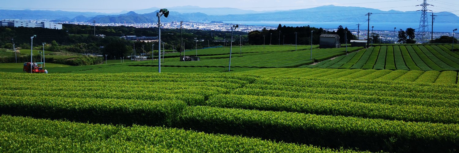 茶茶まる banner