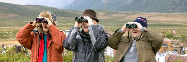 Rare Bird Alert banner