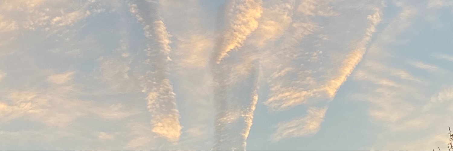 coco_chim19's profile banner image