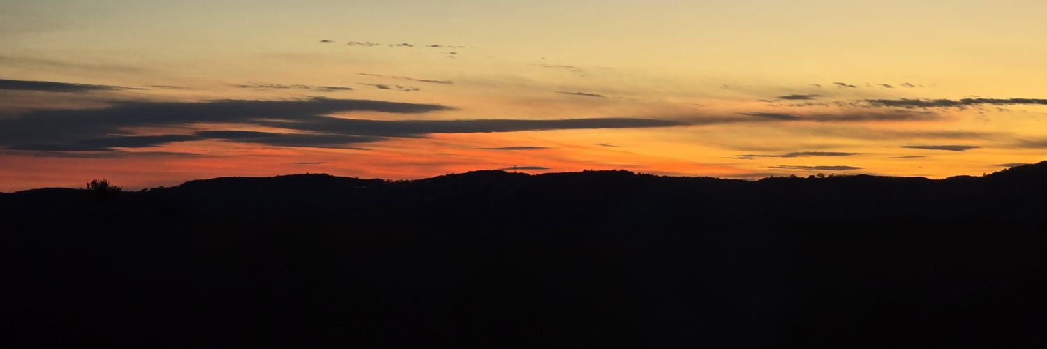Robin_Morganti's profile banner image