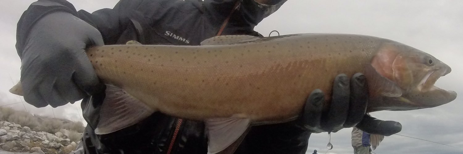 FishBumCoachMac's profile banner image