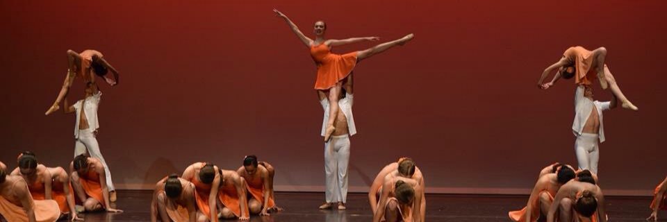 JulioOCesaria's profile banner image