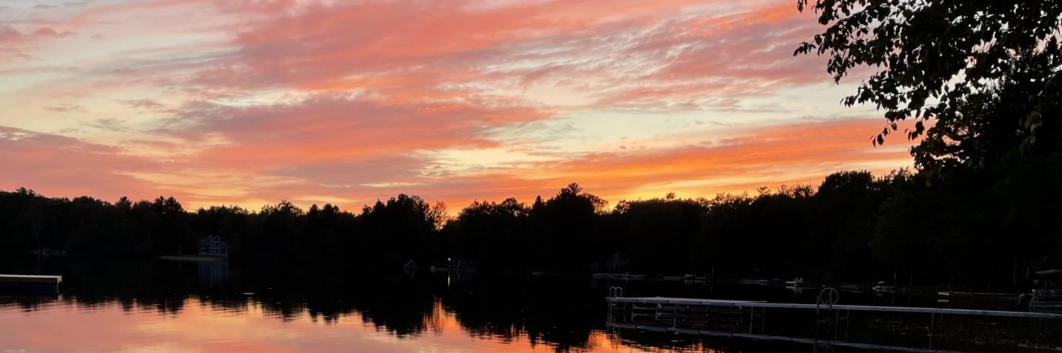 Laura Cummings banner