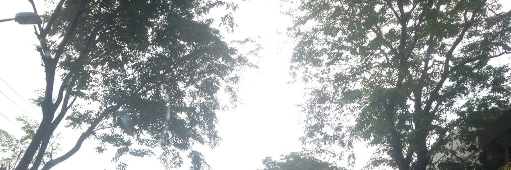 kathhames's profile banner image
