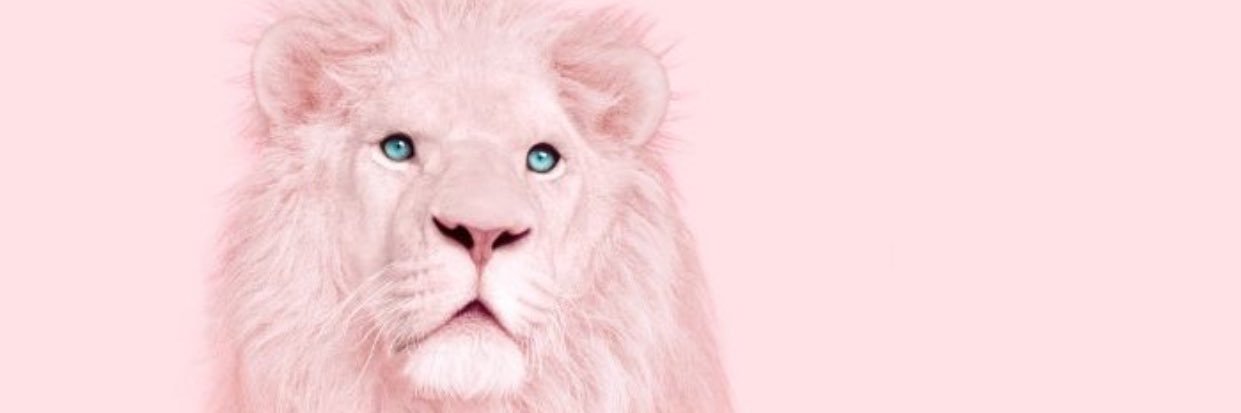 kayoncecarter's profile banner image
