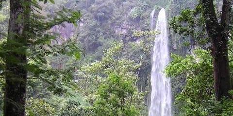 tejo_rodriguez's profile banner image