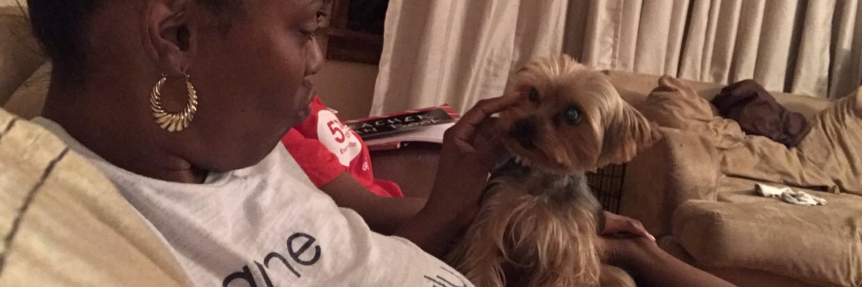 Free-Bey Judge banner