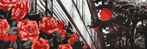 hernan_davis's profile banner image