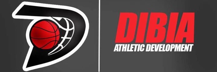 dibiaathletic's profile banner image