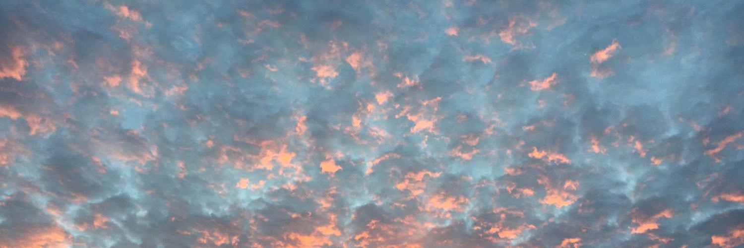 lolalyboo's profile banner image