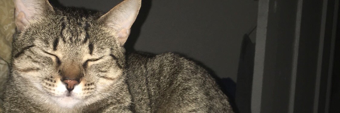 carolyndacie's profile banner image
