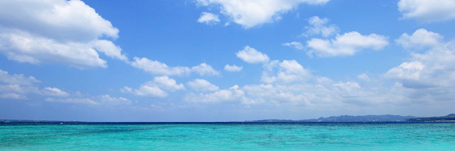meenarosa's profile banner image
