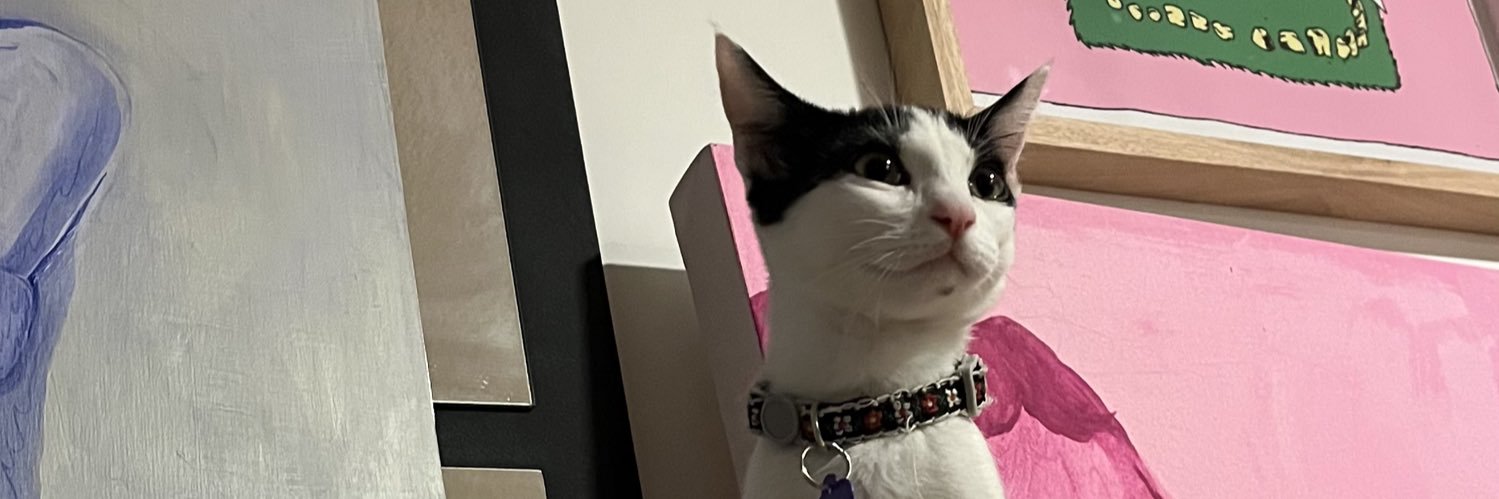 ✿ vika alvarez °•*⁀➷ banner