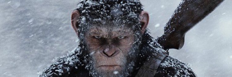 RunitupTahj's profile banner image