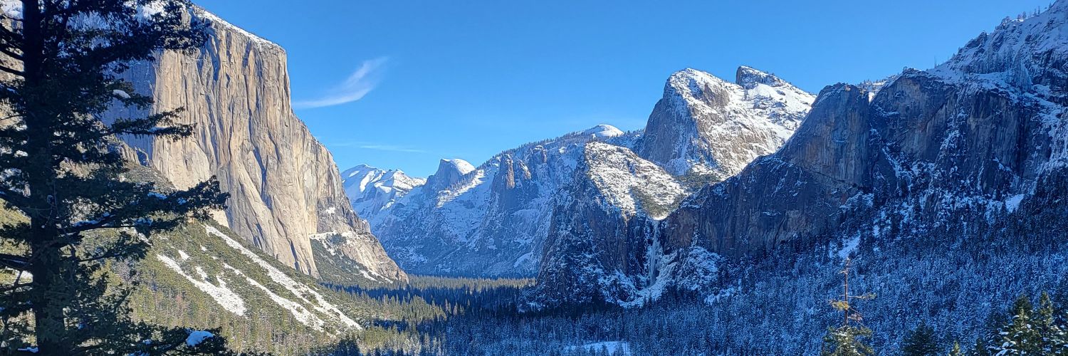 Hecalbert's profile banner image