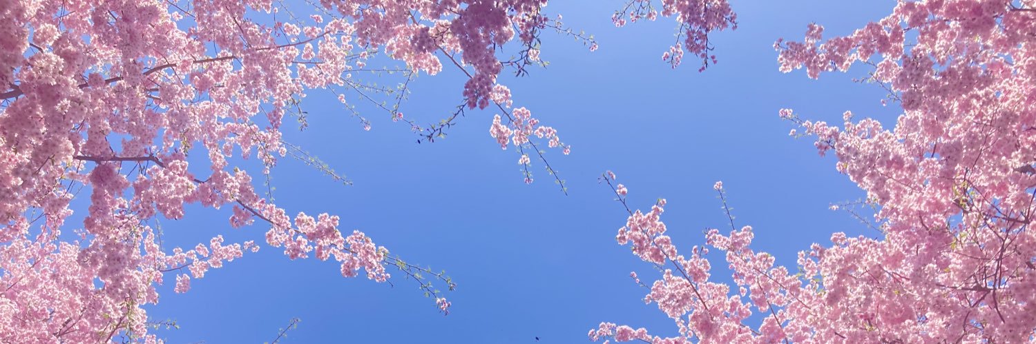 POODLE630's profile banner image