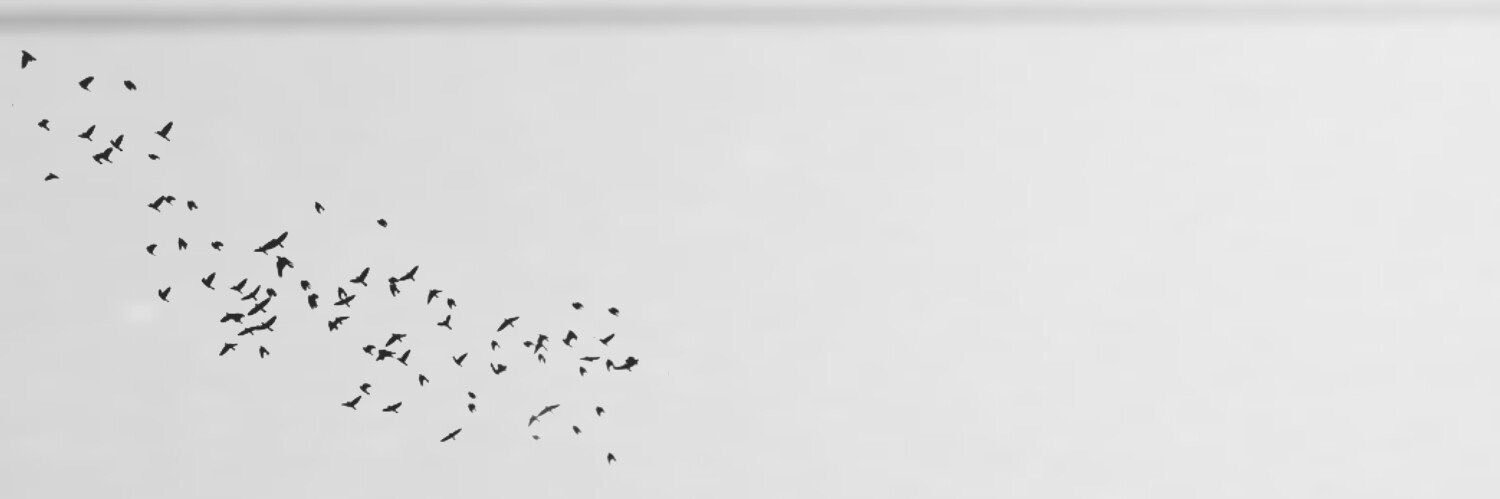 m_ghanem1's profile banner image