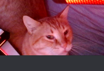 NAConsumed's profile banner image
