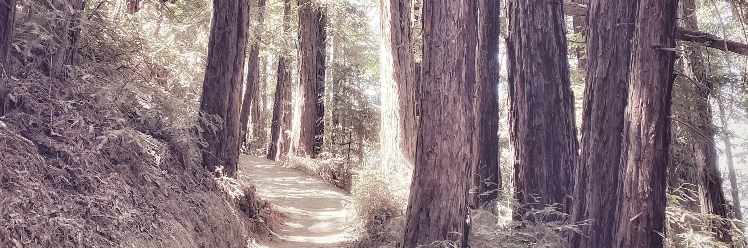 melissamcall's profile banner image