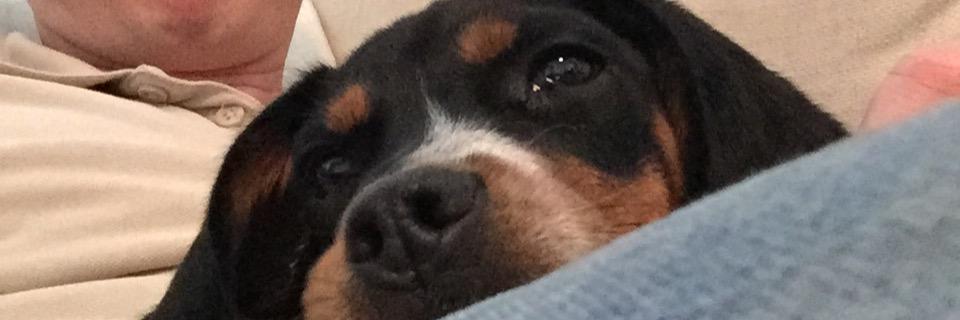 bulmer01's profile banner image