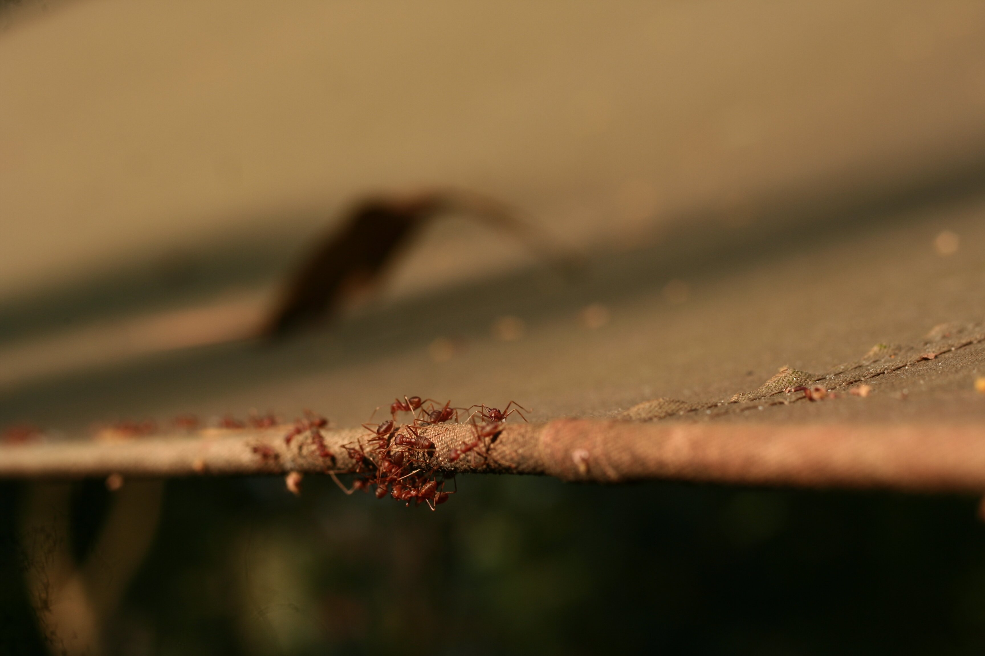 zuulblur's profile banner image