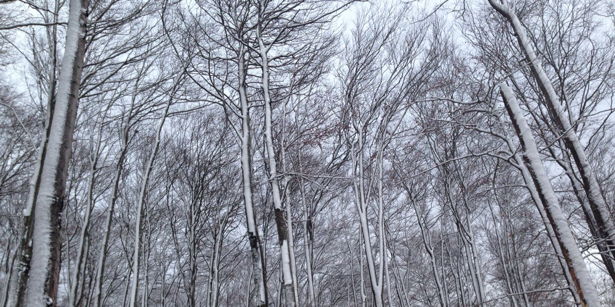 mgoiarr's profile banner image