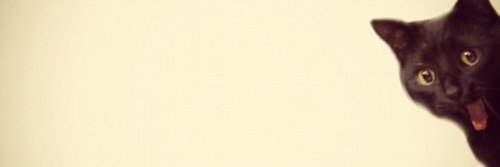SCBamaMan's profile banner image