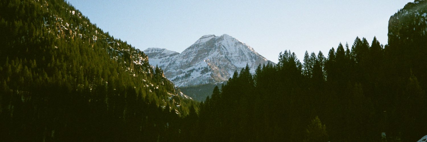 austonomics's profile banner image