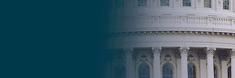 Political Capital banner