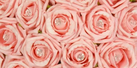 amorainbow's profile banner image