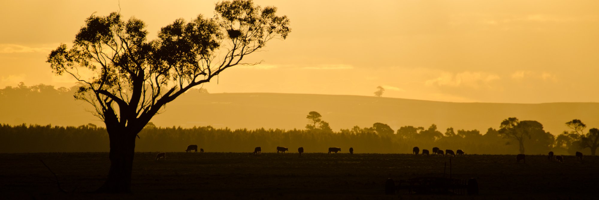 markwsimpson's profile banner image