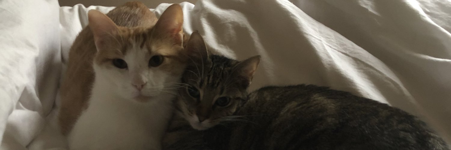 dosxxandchill's profile banner image
