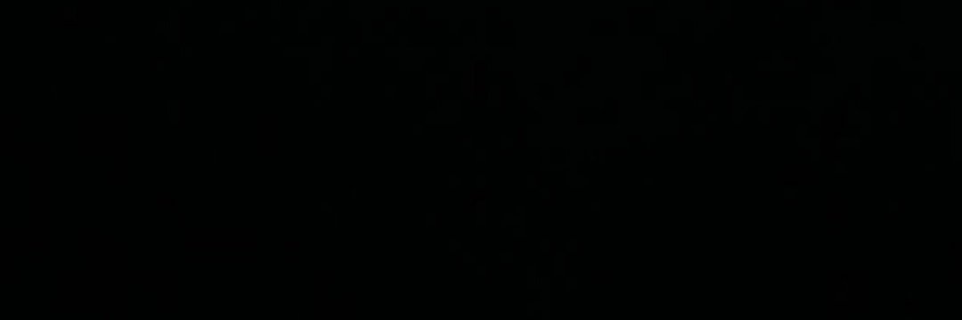 norminahbugs's profile banner image