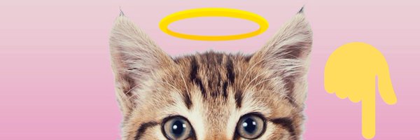 wowanimalfriend's profile banner image
