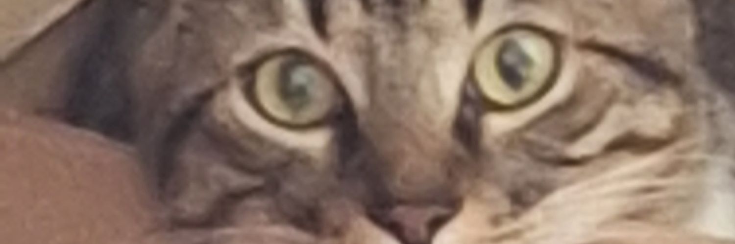 cstaand's profile banner image