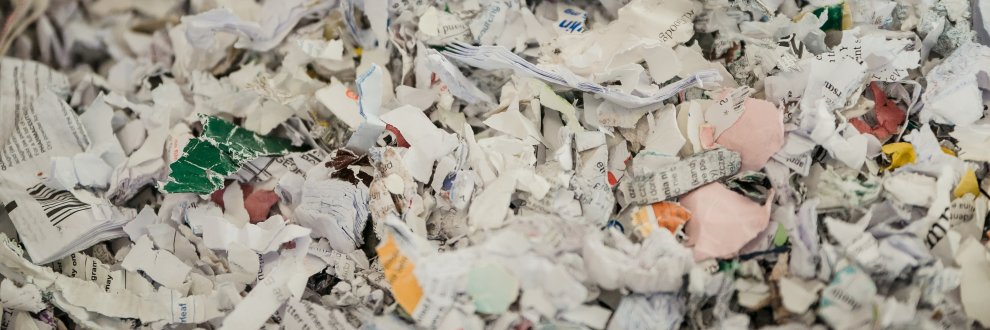 ShreddedNeat's profile banner image