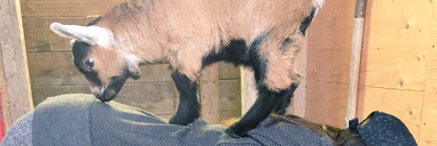 forgoatsakes's profile banner image