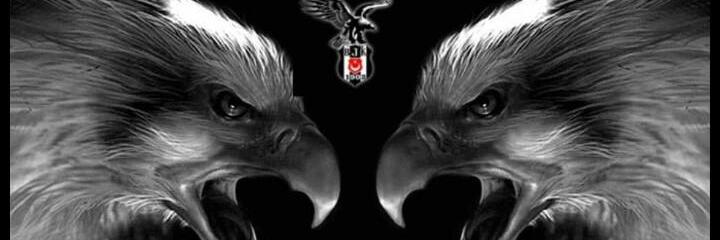 odabasserdar's profile banner image
